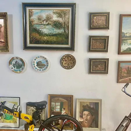 Art & * Shkodër
