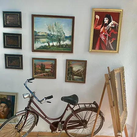 Art & شكودر