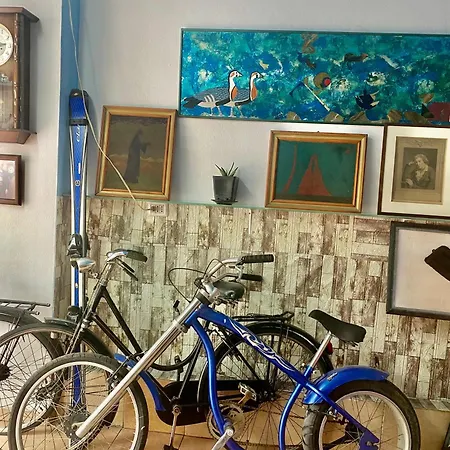 Art & * Shkodër